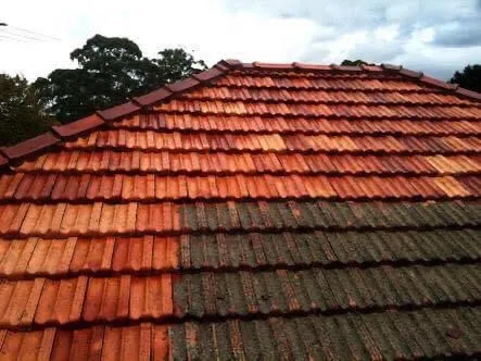 Terracotta tile roof photographed mid-clean, one half bright orange and the other still covered in dark lichen and moss