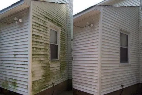 White cladding covered in green algae growth before soft washing